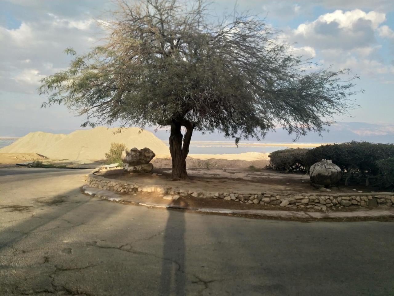 Carmit'S Dead Sea Place Villa Neve Zohar Exterior photo